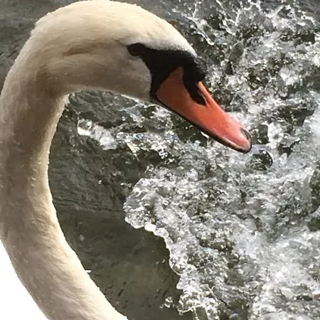 Frühstückspension Le Darsene *