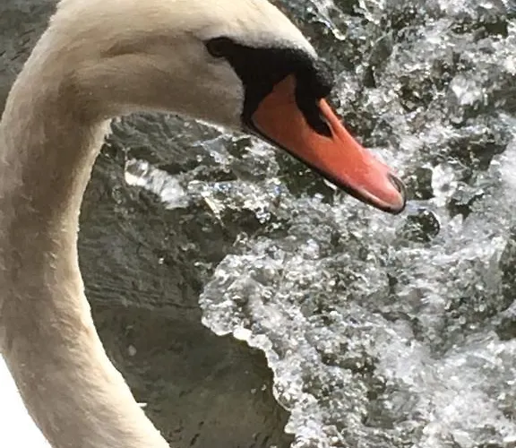 Bed & Breakfast Le Darsene *